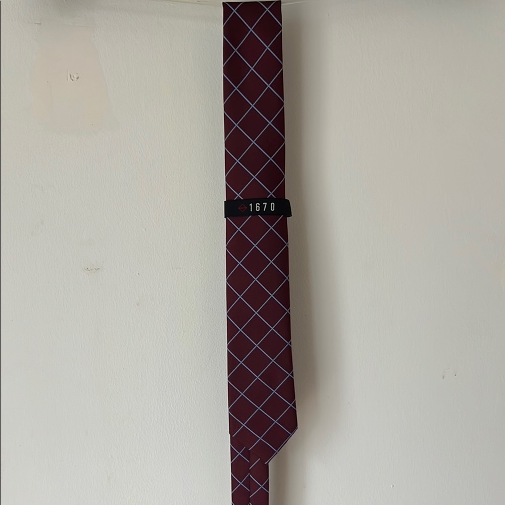 Elegant Burgundy Checkered Tie